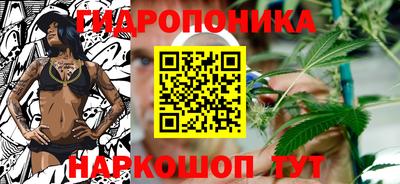 гидра Каменск-Уральский